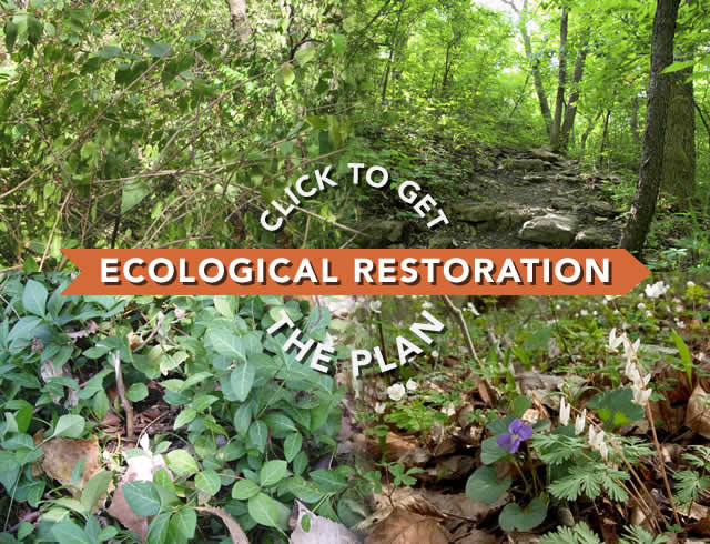 Click to get the Master Plan Progress Report and Ecological Restoration Master Plan