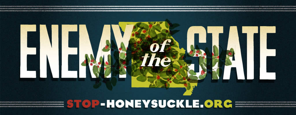 Bush Honeysuckle: Enemy of the State