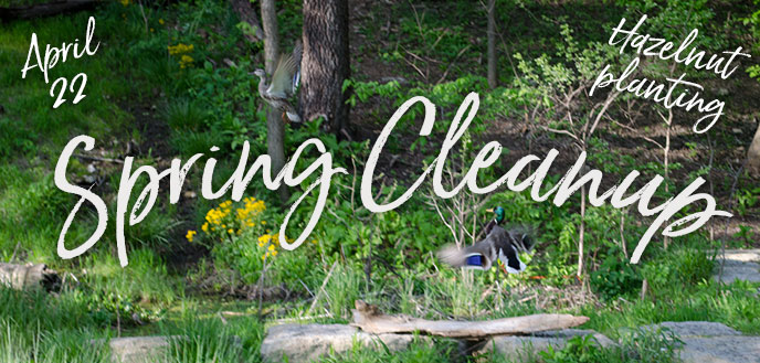 Spring Cleanup, April 22, 2017