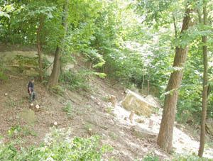 Here’s what the honeysuckle had obscured. By day’s end we began to see the exposed bluff at the north end of the brick road. We felt the revelation of the drama of the bluffs was a big payoff for the hard work. 