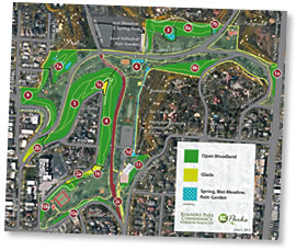 Ecological Restoration Plan