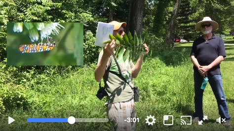 2016 05 21 Tree Walk with Powell Gardens