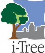 i-Tree Logo