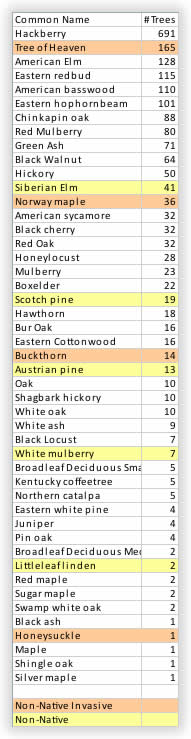 Tree Inventory Count Overview, ranked by number of trees